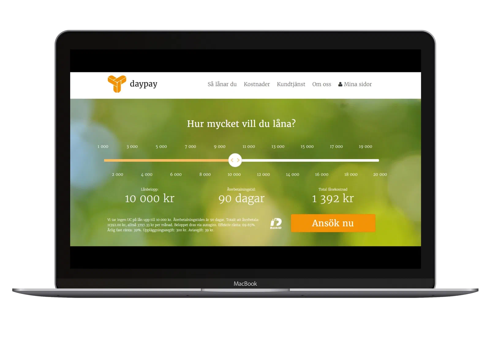 Daypay project by Softwerk